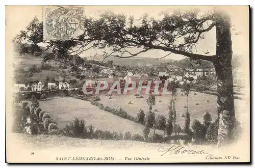 Cartes postales Saint Leonard des Bois Vue Generale