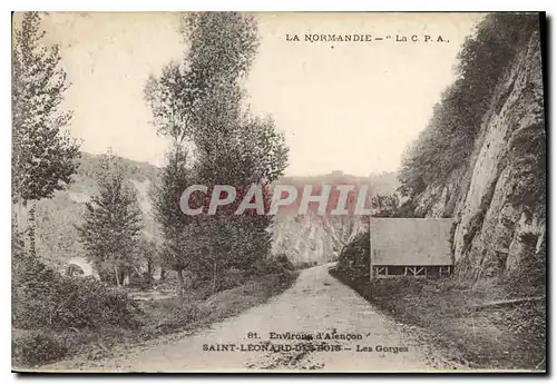 Cartes postales Environs d'Alecon Saint Leonard des Bois Les Gorges