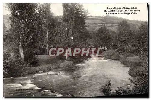 Ansichtskarte AK Les Alpes Mancelles Saint Leonard des Bois La Sarthe a la Forge Collet