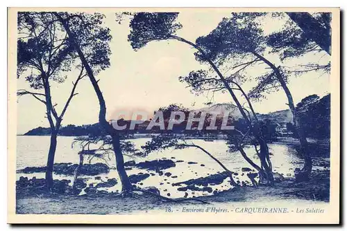 Cartes postales Environs d'Hyeres Carqueiranne Les Salettes