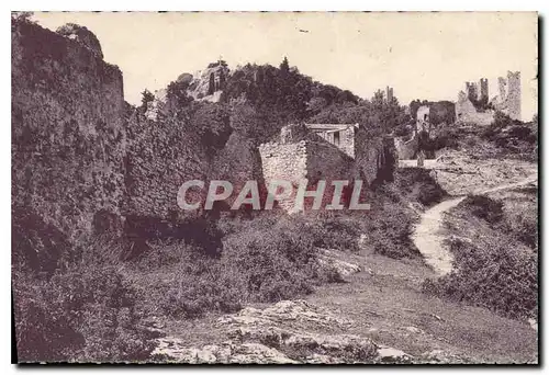 Cartes postales Hyeres les Palmiers