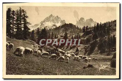 Cartes postales Les jolis de Nevache