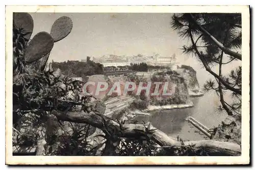 Cartes postales Monaco Le Rocher et Palais du Prince