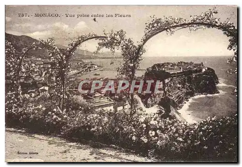 Cartes postales Monaco Vue prise entre les Fleurs