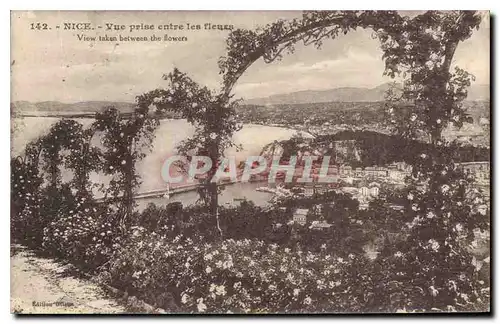 Cartes postales Nice Vue prise entre les Fleurs