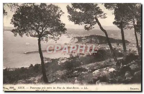 Cartes postales Nice Panorama pris entre les Pins du Mont Boron