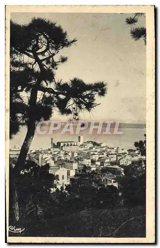 Cartes postales Cannes (A M) La Mer Le Mont Chevalier