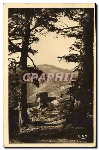 Cartes postales La Louvesc (Ardeche) alt 1050 m Paysage pris de Rochelippe sur la Louvesc