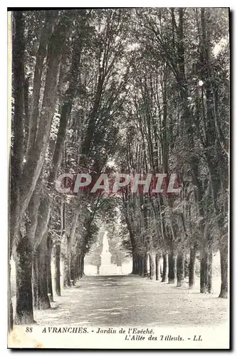Cartes postales Avranches Jardin de l'Eveche L'Allee des Tilleuls