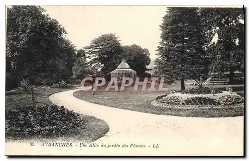 Ansichtskarte AK Avranches Une Allee du Jardin des Plantes