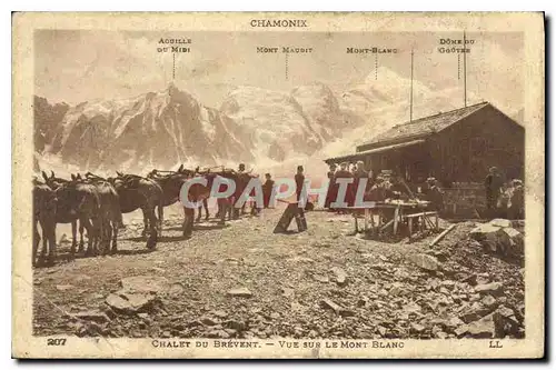 Cartes postales Chalet du Brevent Vue sur le Mont Blanc