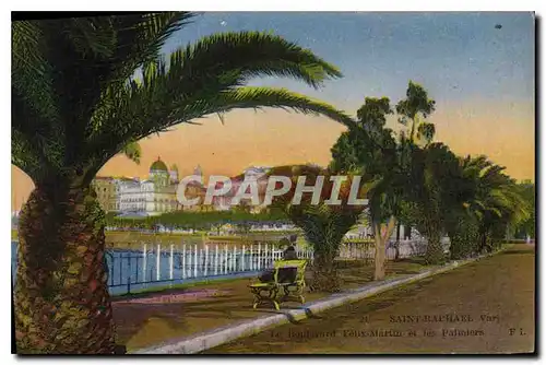 Cartes postales Saint Raphael Le boulevard Felix Martin et les palmiers