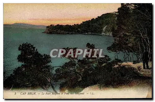 Cartes postales Cap Brun Le Port Mejean et Pins des Magaud