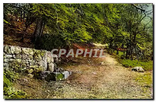 Cartes postales Sainte Baume (Var)