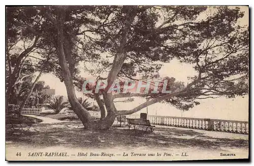 Cartes postales Saint Raphael Hotel Beau Rivage La Terrasse sous les Pins