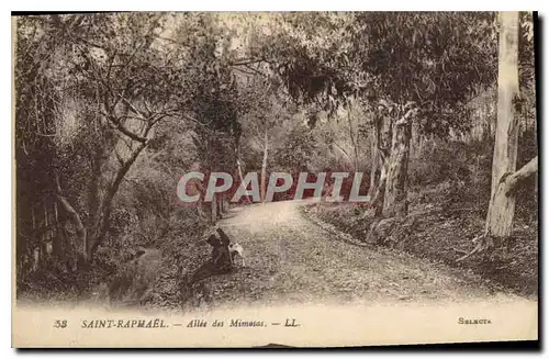 Cartes postales Saint Raphael Allee des Mimosas