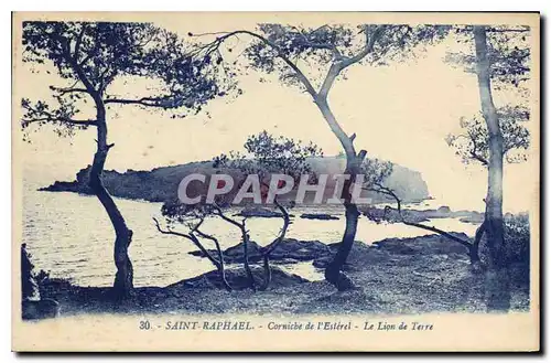 Cartes postales Saint Raphael Corniche de l'Esterel Le Lion de Terre