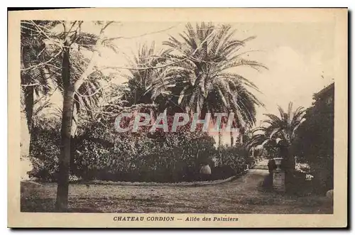 Cartes postales Chateau Cordion Allee des Palmiers