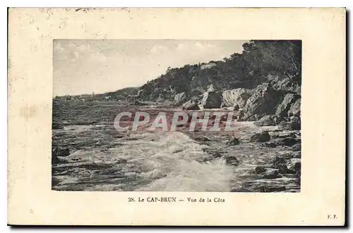 Cartes postales Le Cap Brun Vue de la Cote