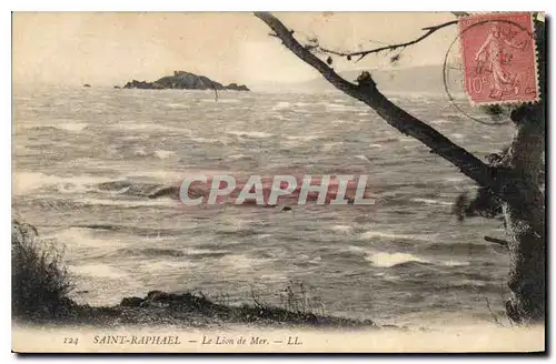 Cartes postales Saint Raphael le lion de Mer