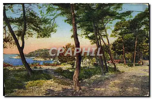 Cartes postales Toulon sous Bois au Cap Brun