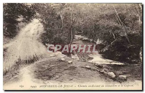 Cartes postales Montrieux le Jeune Chemin conduisant au Monastere et le Gapeau