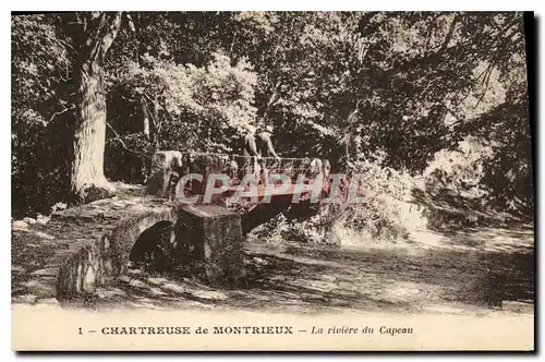 Ansichtskarte AK Chartreuse de Montrieux La Riviere du Capeau