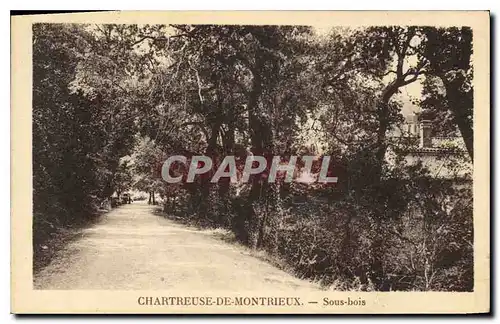 Ansichtskarte AK Chartreuse de Montrieux Sous Bois