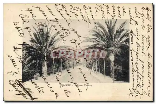 Cartes postales Tamaris Avenue Thierry