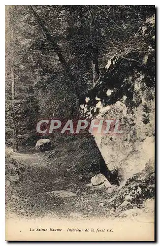 Cartes postales La Sainte Baume interieur de la Foret