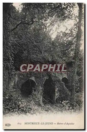 Cartes postales Montreiux le Jeune Ruines d'Aqueduc