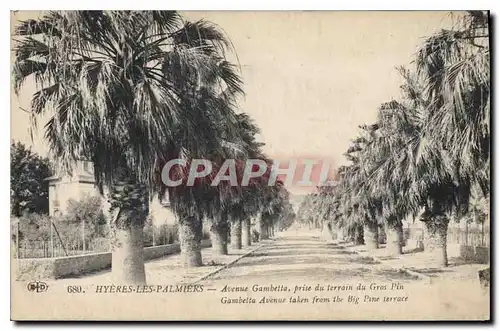 Cartes postales Hyeres les Palmiers Avenue Gambetta prise du terrain du Gros Pin