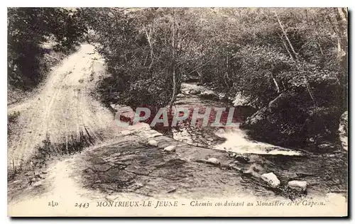 Cartes postales Montrieux le Jeune chemin corduisant au Monastere et le Gapeau