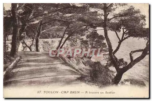 Cartes postales Toulon Cap Brun a travers un Sentier