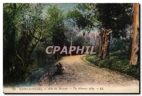 Cartes postales Saint Raphael Allee des Mimosas