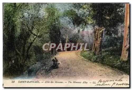 Cartes postales Saint Raphael Allee des Mimosas