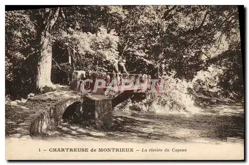 Ansichtskarte AK Chartreuse de Montrieux la Riviere du Capeau