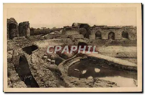 Cartes postales Paysages et Pierres de Provence Frejus les Arenes