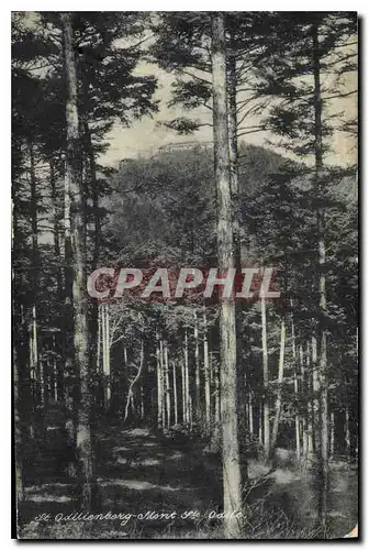 Cartes postales St Odilienberg Mont Ste Odile