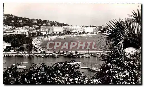 Cartes postales La Cote d'Azur Cannes le port et les grands hotels