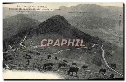 Cartes postales L'Auvergne Pittoresque Montagnes du Cantal le Col de Neromes Vaches