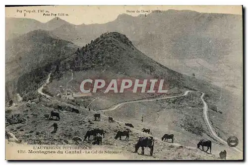 Ansichtskarte AK L'Auvergne Pittoresque Montagnes du Cantal le Col de Neromes Vaches