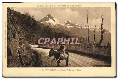 Cartes postales Cantal les plus Jolis Sites de l'Auvergne le Puy Griou et le Haute Vallee de la Cere Ane Mule