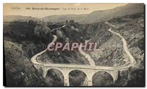 Cartes postales Cantal Rion es Montagne vue du pont de la Mort