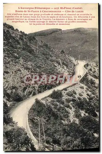 Ansichtskarte AK L'Auvergne Pittoresque St Flour Cantal Route de St Flour a Chaudesaigues cote de Lanau