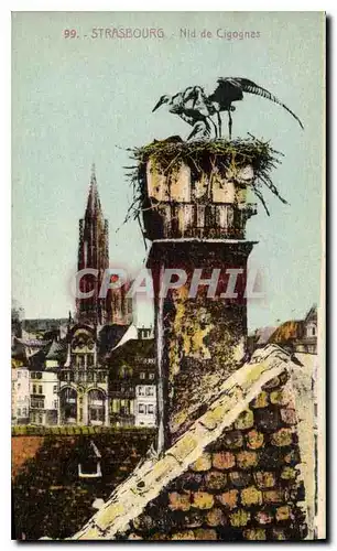 Cartes postales Strasbourg Nid de Cigognes