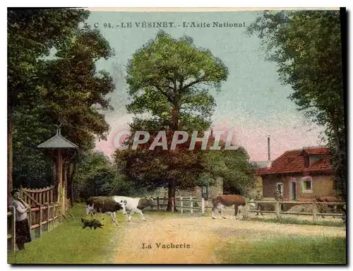 Cartes postales Le Vesinet l'Asile National La Vacherie Vaches