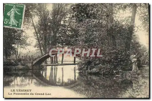 Cartes postales Le Vesinet La Paaserelle du Grand Lac