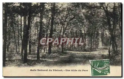 Ansichtskarte AK Asile National du Vesinet Une Allee du Parc