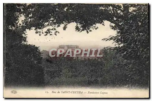 Cartes postales Bois du Saint Cucufa Fondation Cognac